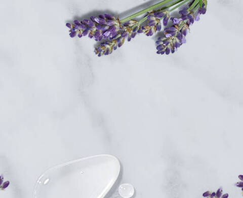 DISCOVER THE BENEFITS OF LAVENDER ESSENTIAL OIL